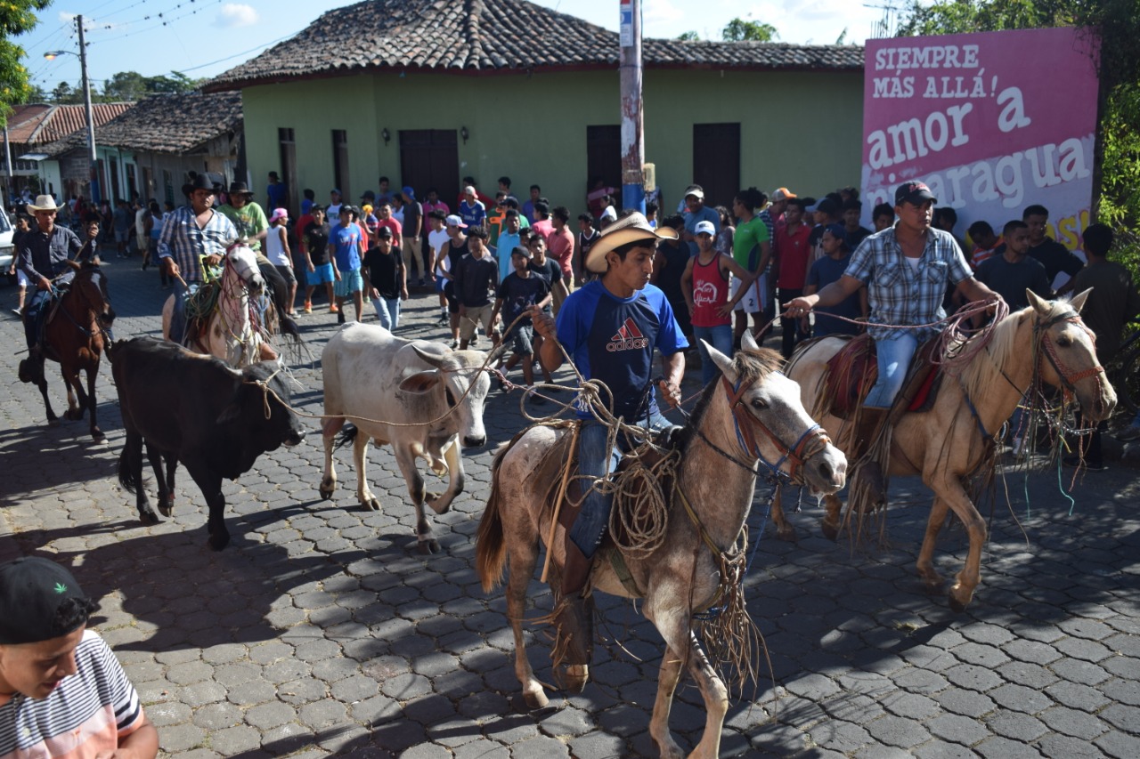 TOROS1